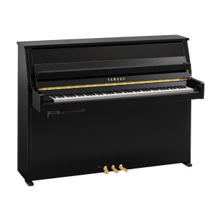 YAMAHA B10 TC3 PE