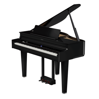 ROLAND GP-6-PE