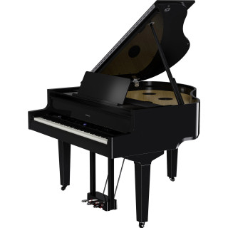 ROLAND GP-9-PE