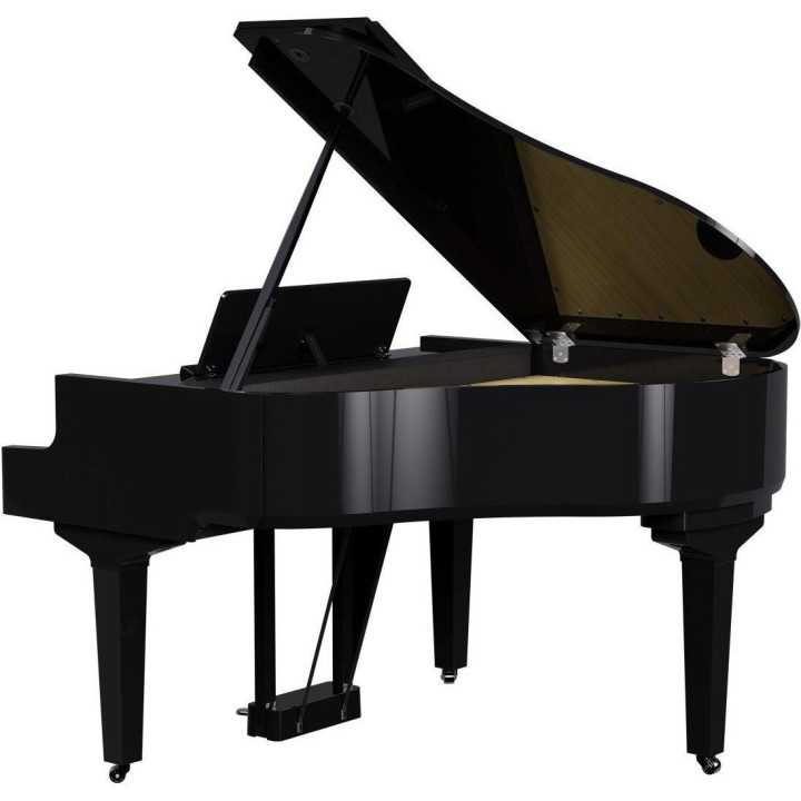 ROLAND GP-9-PE
